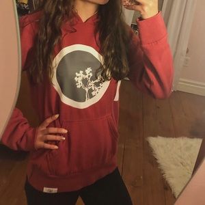 tentree hoodie